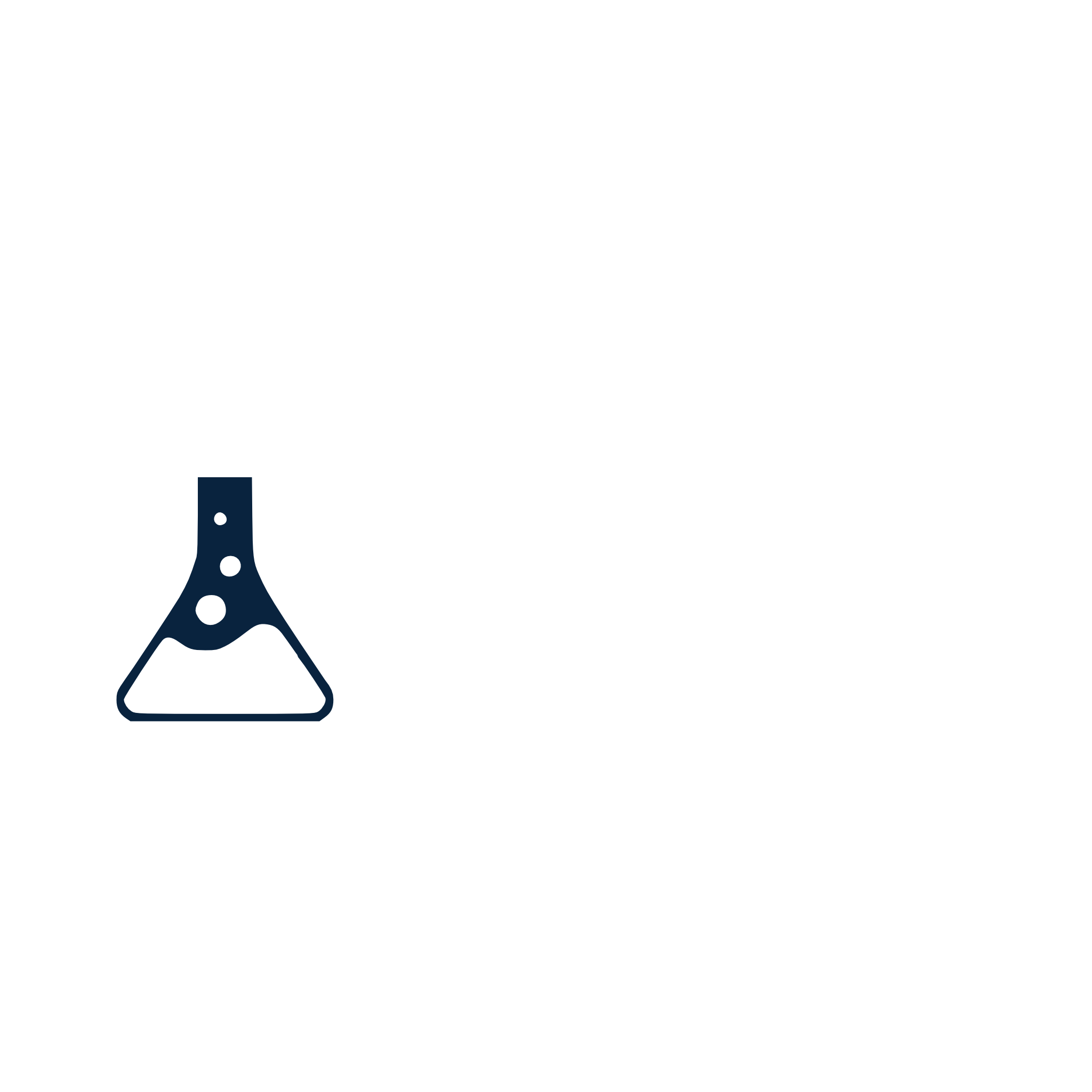 Vision Security Labs